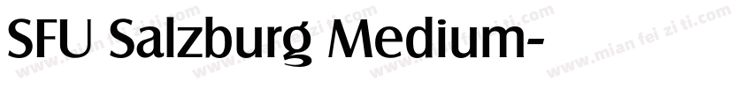 SFU Salzburg Medium字体转换